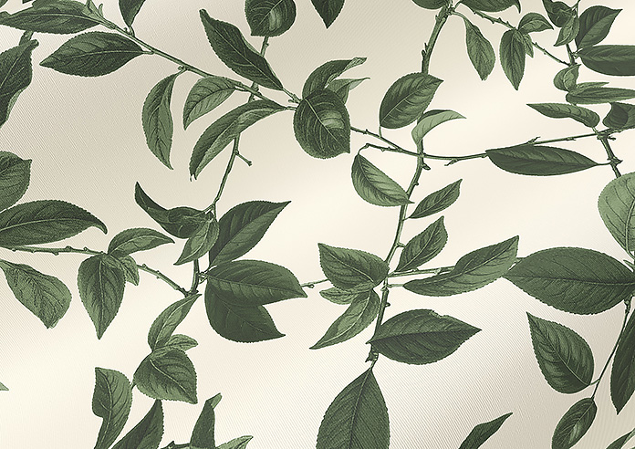 Plum Line, Coriscon - Roller Blind - Image 4